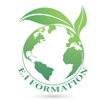 Moodle - EI Formation
